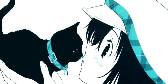 1920x1080 Cat Anime Wallpapers