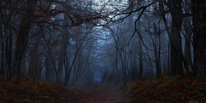 3840x1080 4k wallpaper nature (3840x1080) in 2019 | Save me | 3840x1080