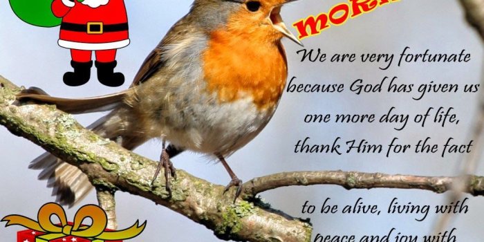 1024x816 Good Morning Christmas Scrap | greetings morn/eveng/ Days | Good