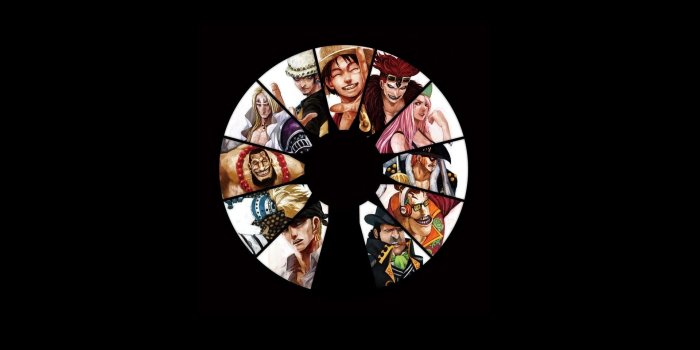 1920x1200 One Piece Anime Wallpaper: Supernova One Piece Wallpaper - Pics