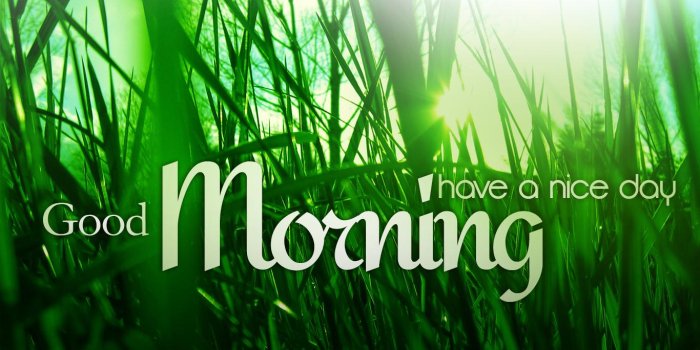 1366x768 Good Morning Wallpapers Christmas Day Wishes or Messages 1366x768