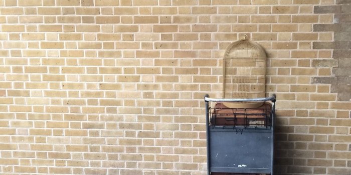 1080x836 27+ Harry Potter Pictures | Download Free Images on Unsplash