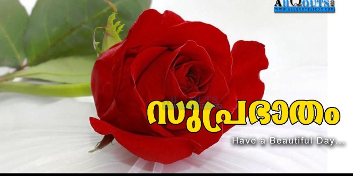 1400x788 Good Morning Malayalam Quotes Download The Christmas - Love Rose