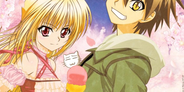 2560x1600 Black Cat Anime wallpapers | Freshwallpapers