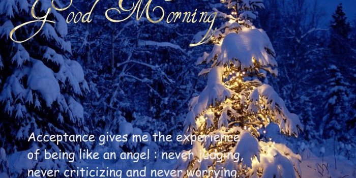 1024x768 Christmas Tree Good Morning Wallpaper - good wallpaper