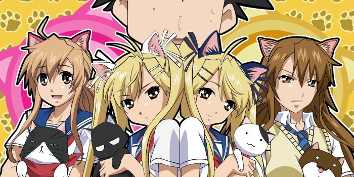 2560x1600 Cat Girls Anime 4k Hd Desktop Wallpaper For - Litle Pups