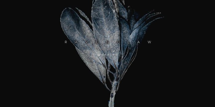 1000x1778 Wallpapers No. 419 - Hogwarts Houses + Dark Dead Botanicals