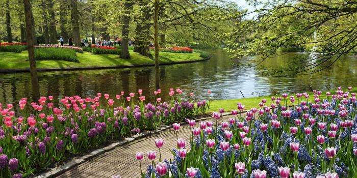 2304x1440 Garden Wallpaper High Resolution - Flower Park (#118935) - HD