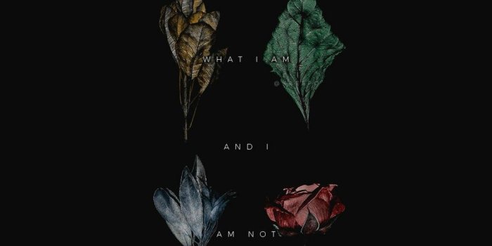 1000x1778 Johan Rovira on wallpapers in 2019 | Fondos de Pantalla