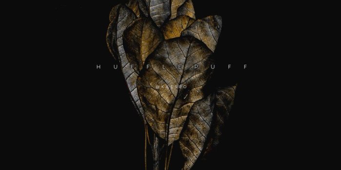 1000x1778 Harry Potter Aesthetic Wallpapers