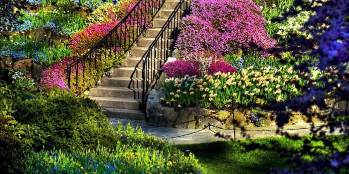 1920x1080 45+ Early Spring Garden Wallpapers - Download at WallpaperBro