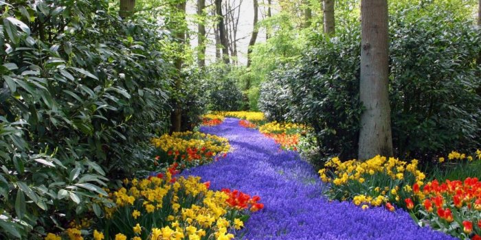 1152x864 Bing Free Spring Wallpaper | Nature Springtime Free Desktop