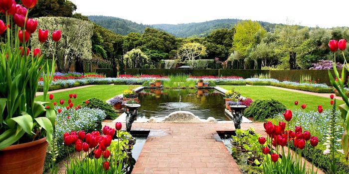 2560x1600 Spring Flower Garden #4248210, 2560x1600 | All For Desktop