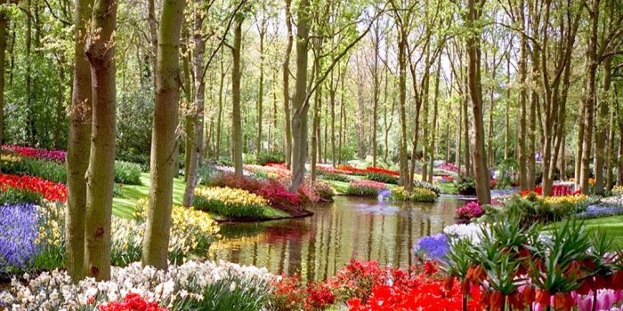 1024x768 english gardens | Garden Wallpapers | english country gardens I love