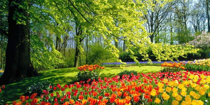 1600x1200 3D Flower Garden Wallpaper 2014 | My Rose | Beautiful flowers garden