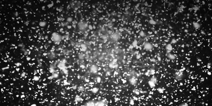 2048x2048 FREEIOS7 | snow-everywhere - parallax HD iPhone iPad wallpaper