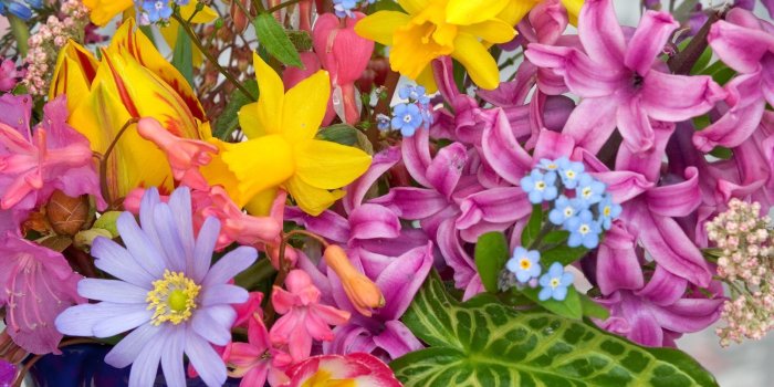 1600x1200 Spring Flowers From the Garden #4206899, 1600x1200 | All For Desktop