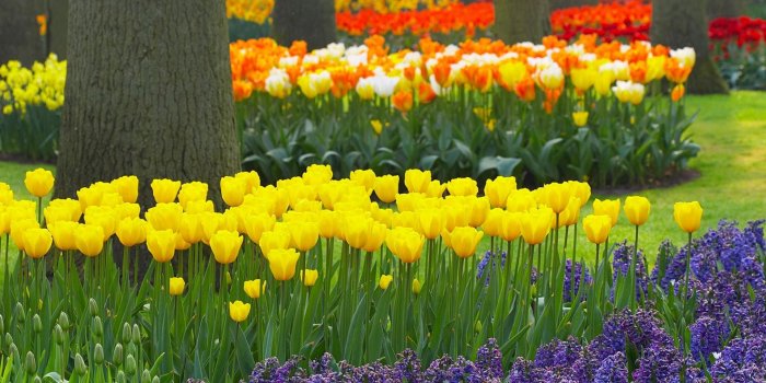 1920x1080 42+] 1920X1080 HD Garden Wallpaper on WallpaperSafari