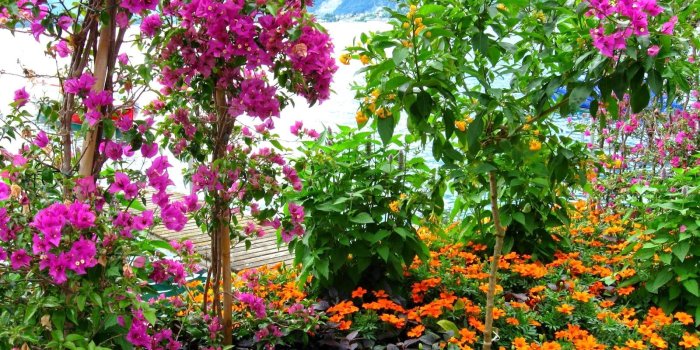 1600x900 18691 flower gardens wallpapers