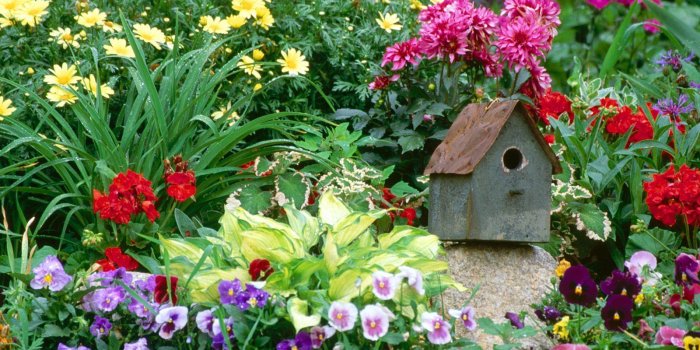 1600x1200 GARDEN WALLPAPERS for Android - APK Download