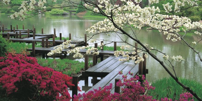 2100x1409 64+ Beautiful Garden Wallpapers on WallpaperPlay