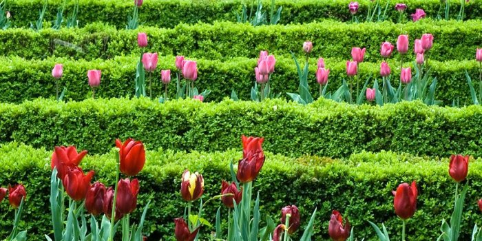 1024x768 Luxury Images Spring Flowers Garden | Top Collection of different