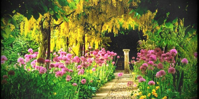 1229x706 45+ Most Beautiful Garden Wallpapers - Download at WallpaperBro