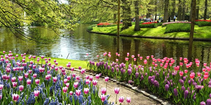 2560x1920 Garden Wallpapers (74+ background pictures)