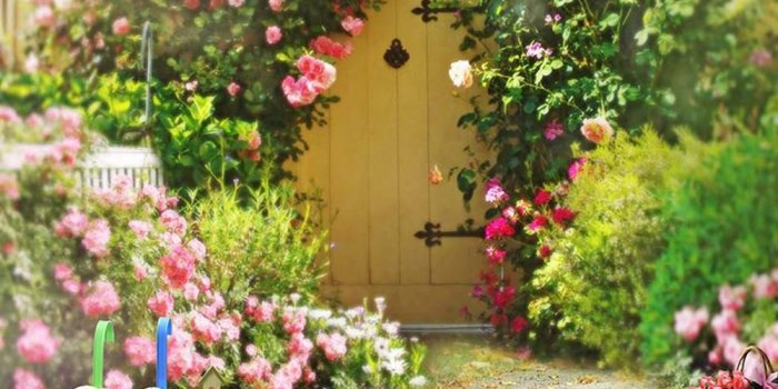 1000x1000 21903 spring flower gardens wallpaper