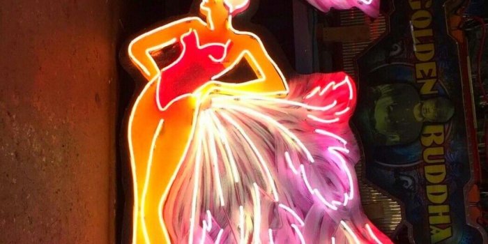 1047x1280 neon art Vegas Showgirl | Neon Sign ⭐ in 2019 | Neon signs, Neon