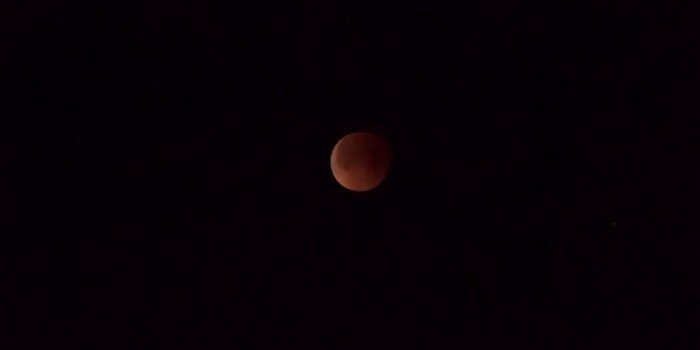 1280x720 The Daily Messenger: January 2018