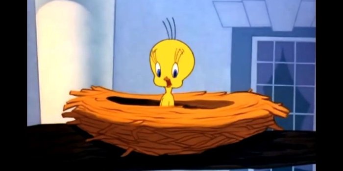 1280x720 The Daily Messenger: January 2018