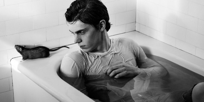 2000x1302 Evan Peters HD Wallpapers | 7wallpapers.net
