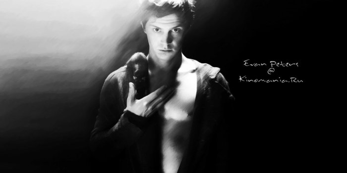 1440x900 Evan Peters HD Wallpaper, Background Images