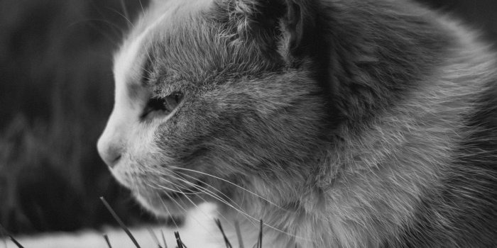 2560x2560 I've Got My Eyes On You ❤ 4K HD Desktop Wallpaper for 4K Ultra HD