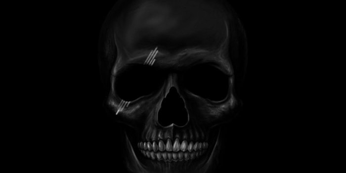 1024x1024 Black Skull ❤ 4K HD Desktop Wallpaper for 4K Ultra HD TV • Dual