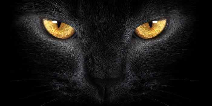 1920x1080 Wallpapers Tablettes Google Nexus 10 Et Kindle Fire HDX 8,9