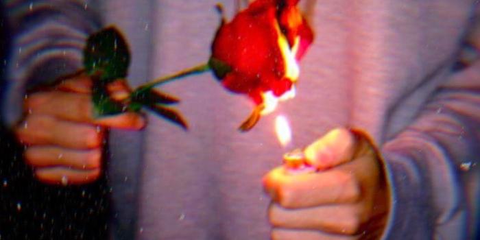 750x1334 Credit to @thesocialclimber_ on instagram - burning rose | Burning