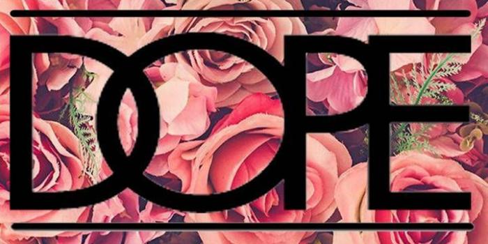 720x1280 Dope roses | walpapers in 2019 | Rose wallpaper, Wallpaper, Dope