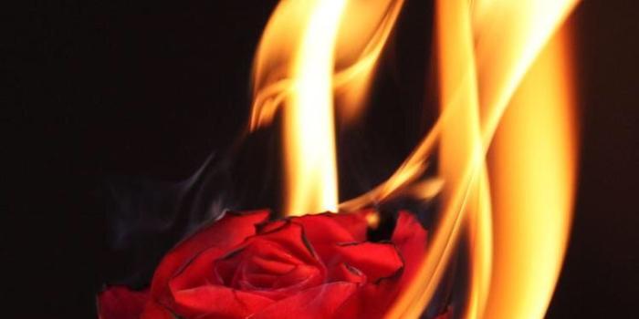 750x1334 Płonąca Miłość, nie pozwól Jej zamienić się w popiół. | nEOn