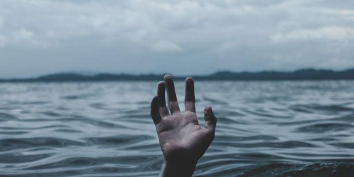 1600x500 Dope | 35 best free dope, dark, forest and plant photos on Unsplash