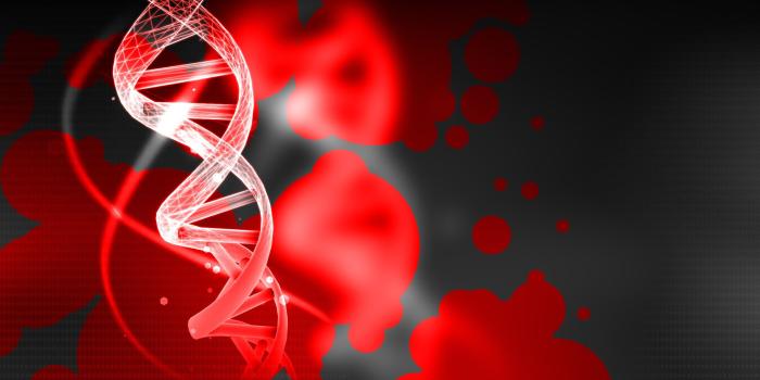 1920x1080 Showcase :: Wallpaper Engine