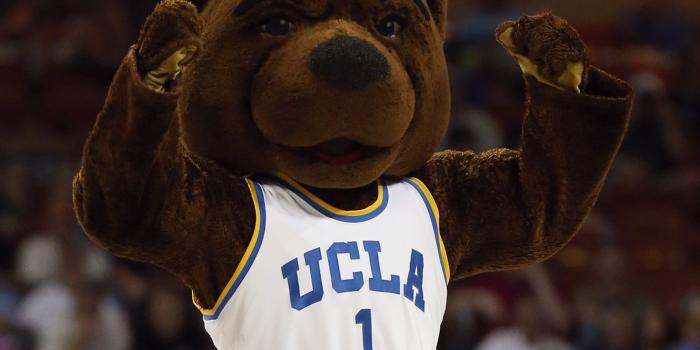 1400x1050 2014 NCAA Mascot DEATHBRACKET: South Region - SBNation.com