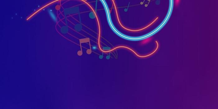 960x1440 Music Carnival Poster Picture Promotion, Music Festival, Music