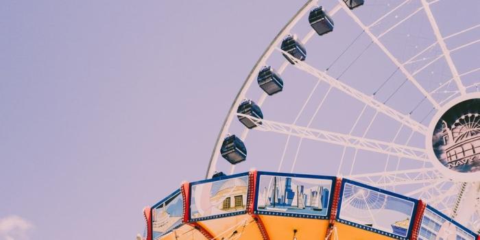 1000x1500 Curious Lily Design | 27 best free design, lily, work and grey