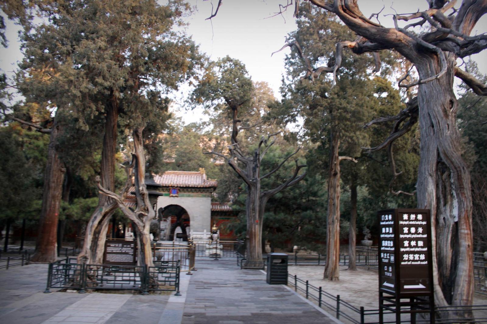 2000x1333 Forbidden City Desktop Wallpapers - THIS Wallpaper