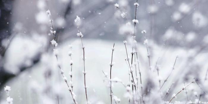 3888x2592 Good Morning Wallpapers Free Download