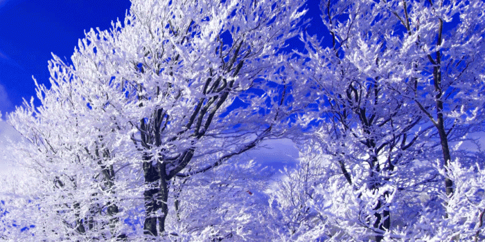 1638x1600 114+ winter Good morning quotes Images Wallpaper Pics HD Download