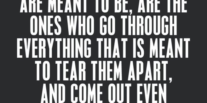 736x1104 50+ Best Love Quotes with Images Collection for WhatsApp