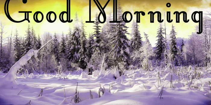 1920x1200 114+ winter Good morning quotes Images Wallpaper Pics HD Download